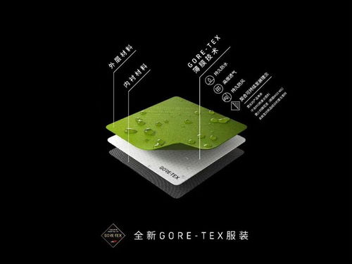 滑雪服 大戰,本土品牌能否趕超國際大牌